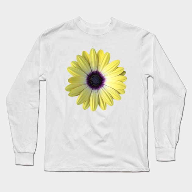 Yellow and Purple Daisy Photo Long Sleeve T-Shirt by sallycummingsdesigns